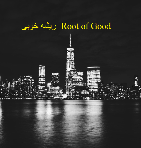 ربات خدمتکار